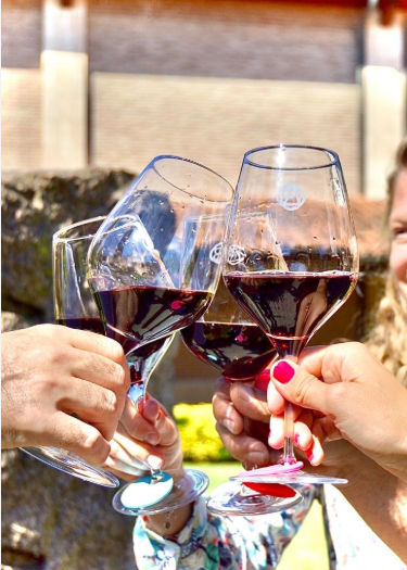 Degustación vinos Valencia